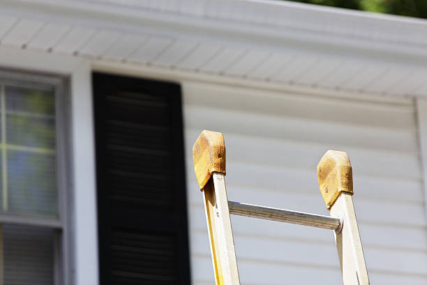 Best Residential Vinyl Siding Installation  in Stanley, VA